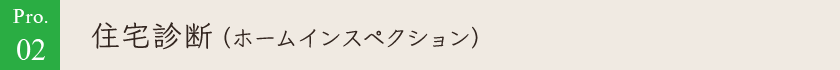 Pro.02 住宅診断（ホームインスペクション）